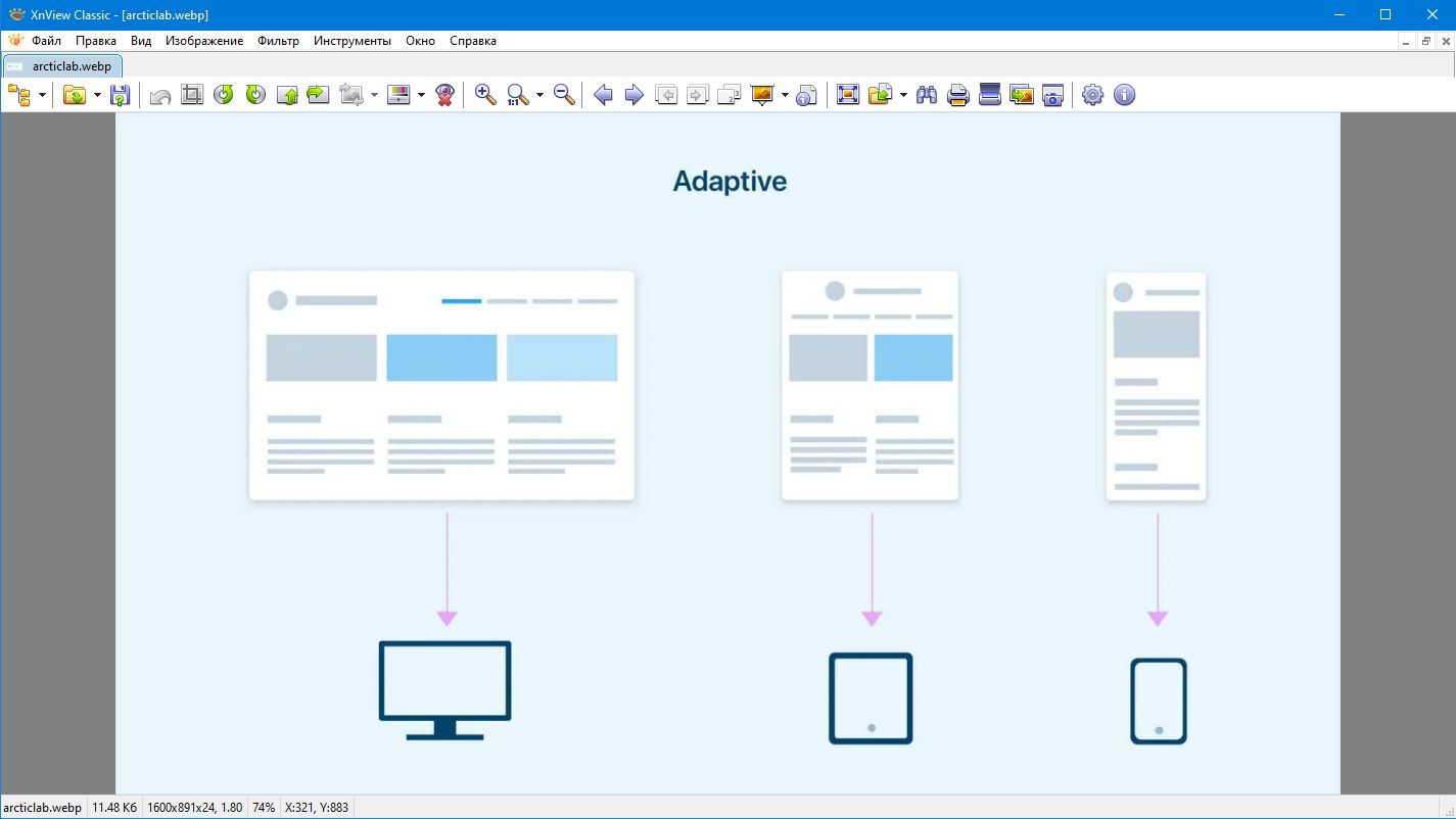 webp картинка в xnview